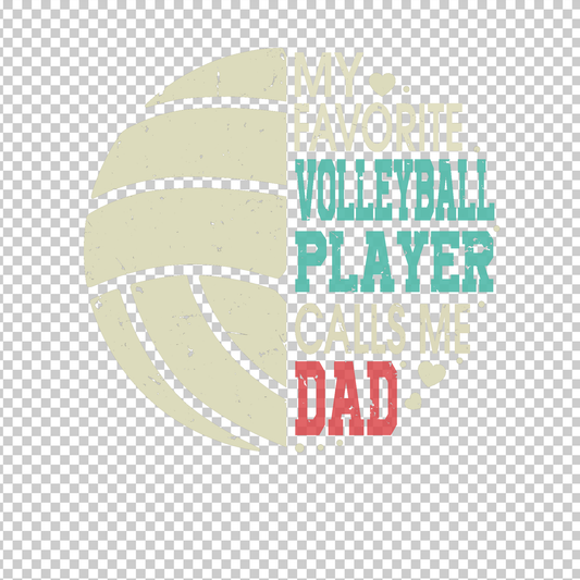 VOLLEYBALL 13