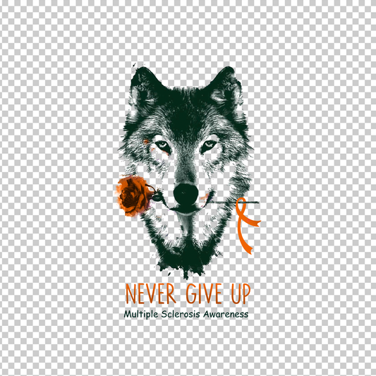MULTIPLE SCLEROSIS AWARENESS 241