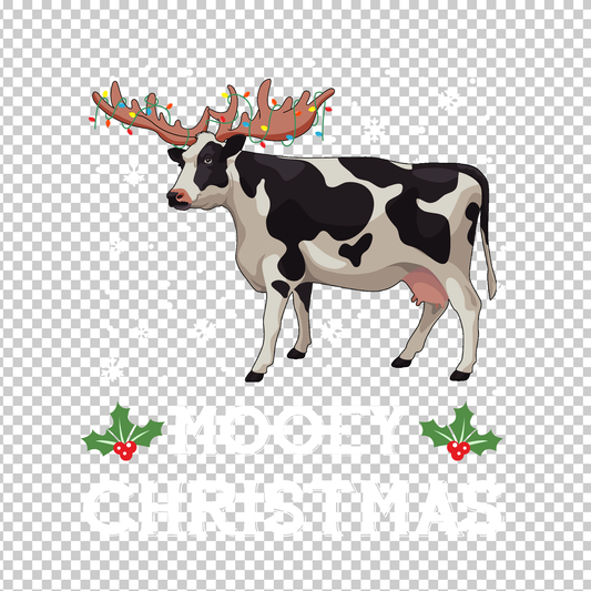 COW 46