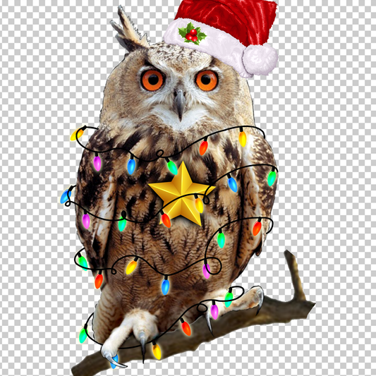 OWL 3