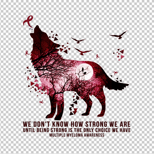 MULTIPLE MYELOMA AWARENESS 37